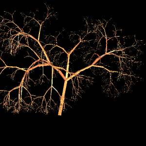 fractals59_i-116584882548450-1-.png